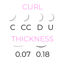 D Curl Lashes